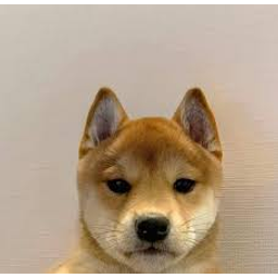 SHIBA