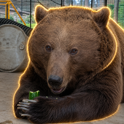 CHILLBEAR