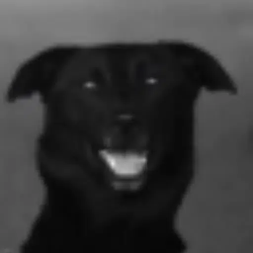 Harvey