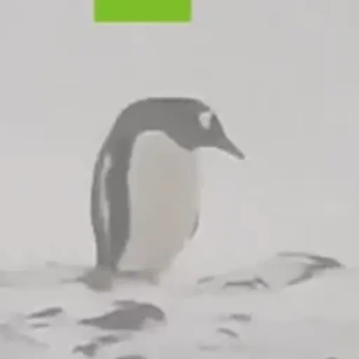 PENGUIN