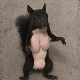 Minimi