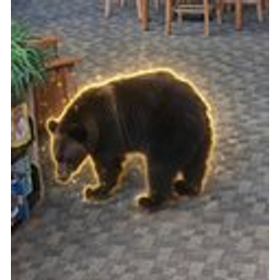 Winnie