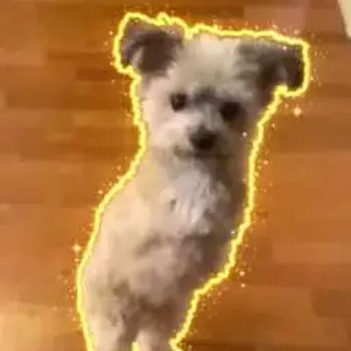 NOEL