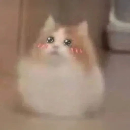 neko