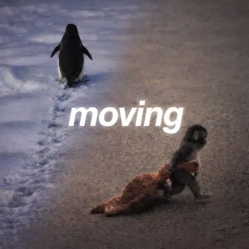 Moving