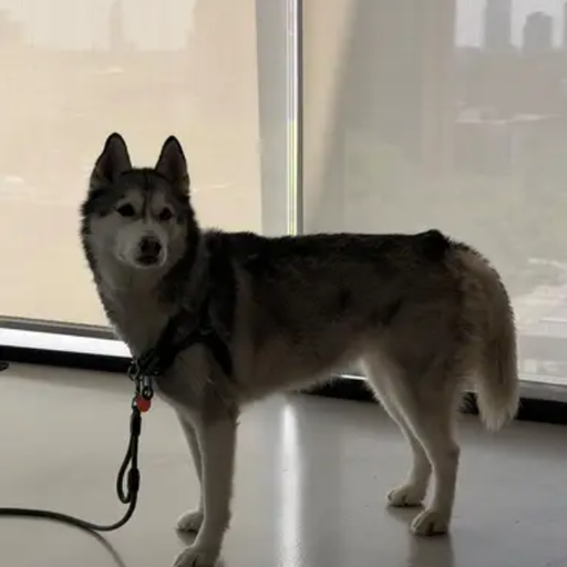 WOS