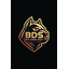 BDS