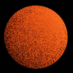 SOLAR