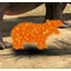 Mooyor