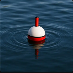 FLOAT