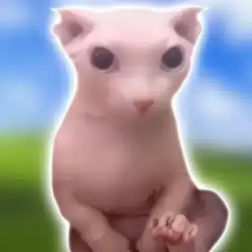 Bingus
