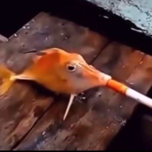 AF