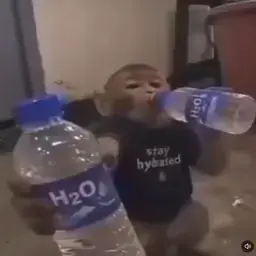 H2O