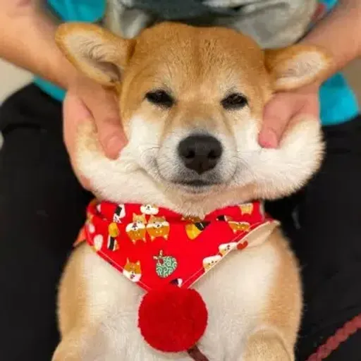 豆花