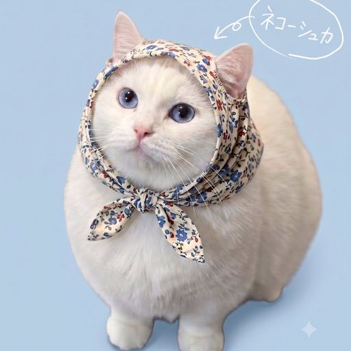 NEKOSHKA