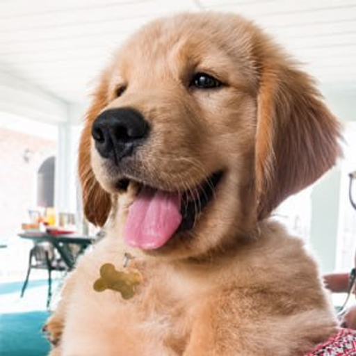 TUCKER