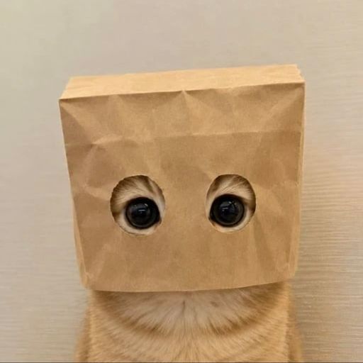 CATBPUMP