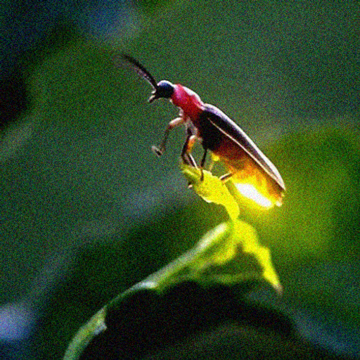 Firefly