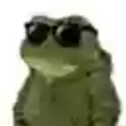 DANKFROGE