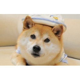 DWIF