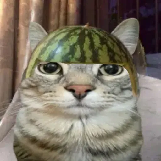Melon