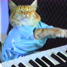 KEYCAT