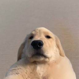 doug