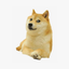 wrdog