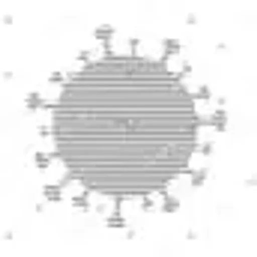 VIRUS