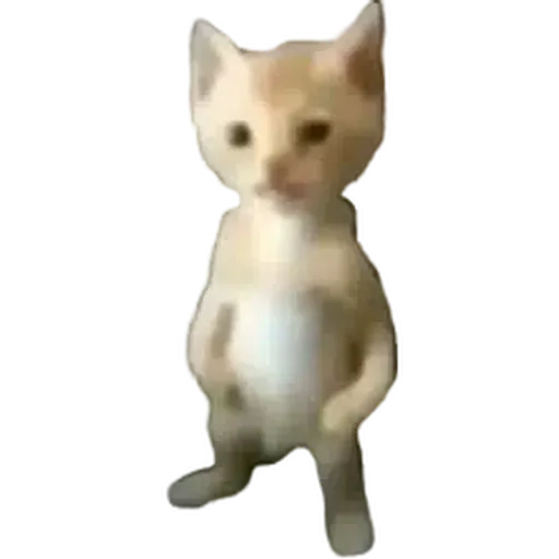 MIGUEL