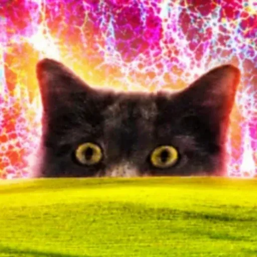 SCHIZO