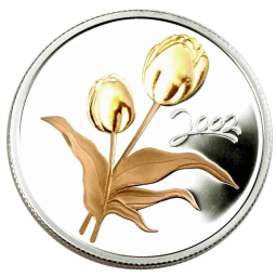 tulip