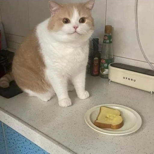 TOAST