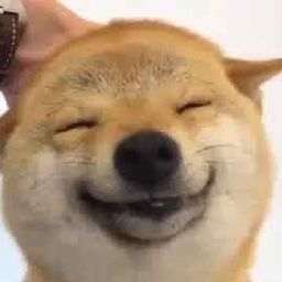 tst