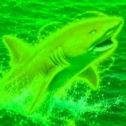 BITSHARK