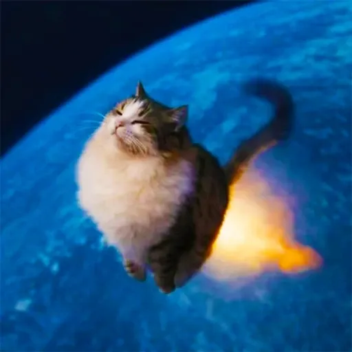 roccat