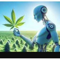 WEED