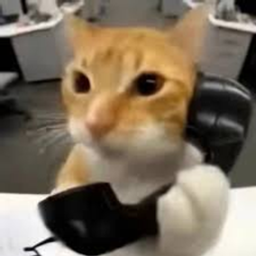 callcat