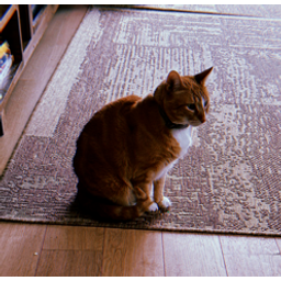 Hobbes
