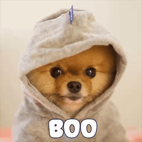 BOO