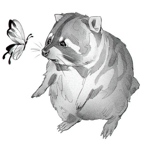 BUTCOON