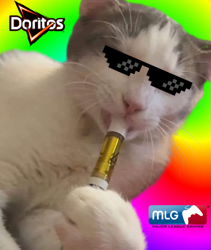 MLGCAT