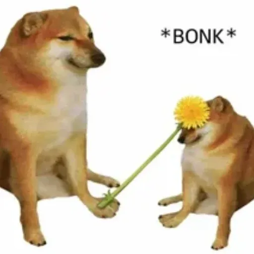 BONK