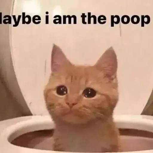 poopcat