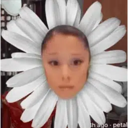 petal