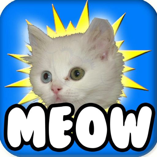 MEOW