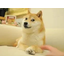 DOGE