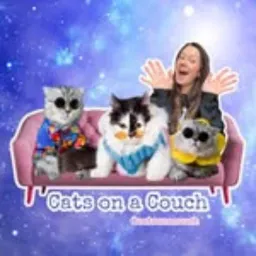 CatsOnACouch
