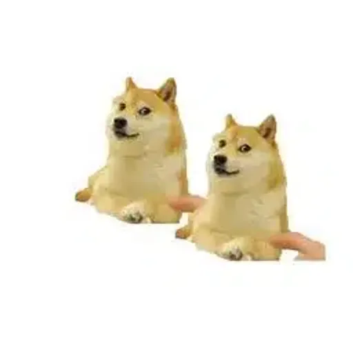 2XDOG