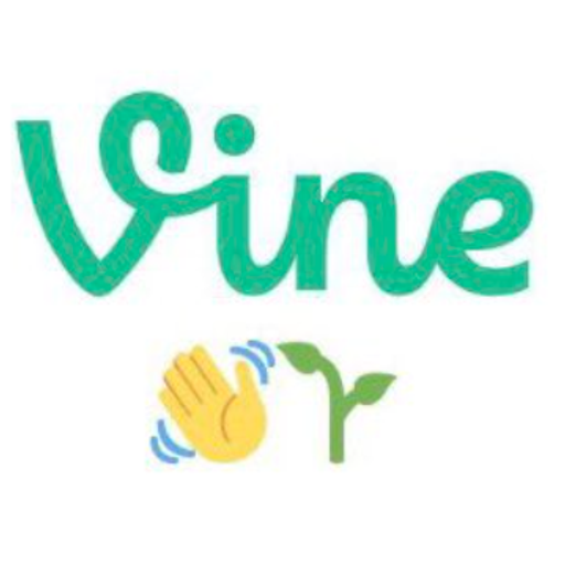 Vine